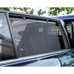 Leasing & Rental