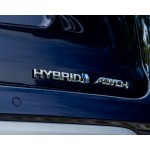 Leasing & Rental